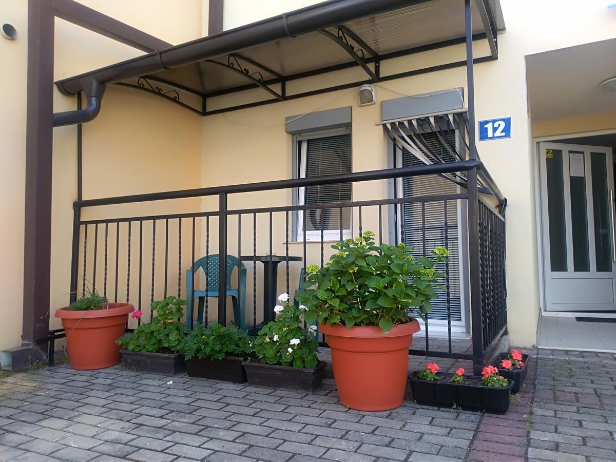 New Studio 70M To The Lake Ohrid Esterno foto